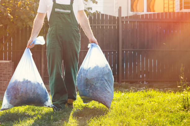 Best Basement Cleanout  in Thompson, ND